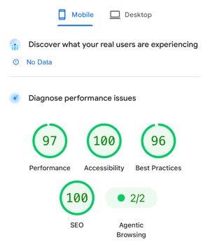 Lighthouse audit score showing perfect/near-perfect mobile speed and performance (97) under our custom-engineered setup
