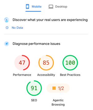 Lighthouse audit score showing poor mobile performance (47) typical of generic marketing templates